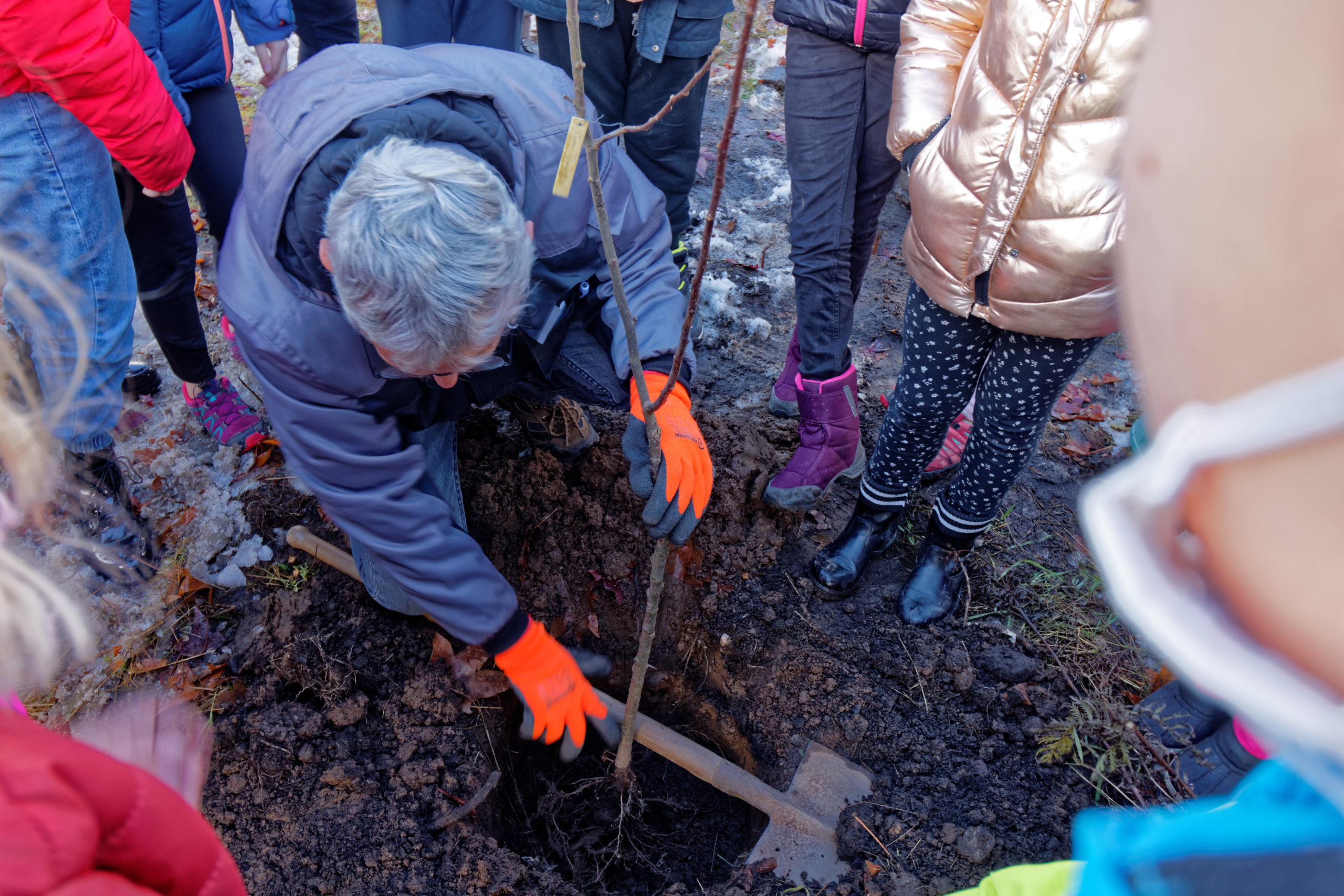 Des arbres à voca­tion péda­go­gique plan­tés le long de la Voie verte à Saulxures-sur-Moselotte