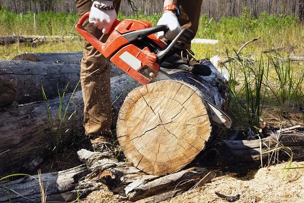PERMIS DE BOIS